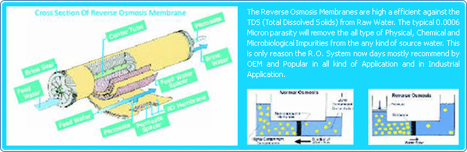 Brackish Water Plant