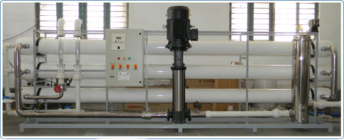 Brackish Water Plant