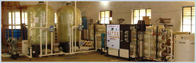 Brackish Water Plant