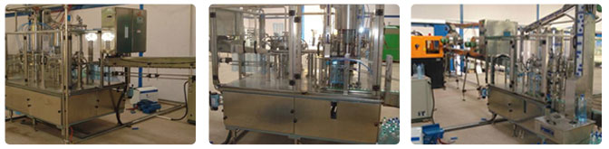 Bottle Rinsing, Filling and Capping Machine