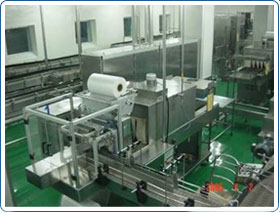 Automatic PE Film Shrink Wrapper