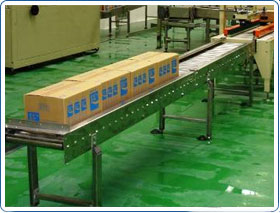 Carton Roller Conveyor